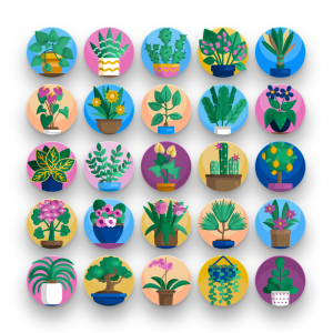 50 House Plant Icons