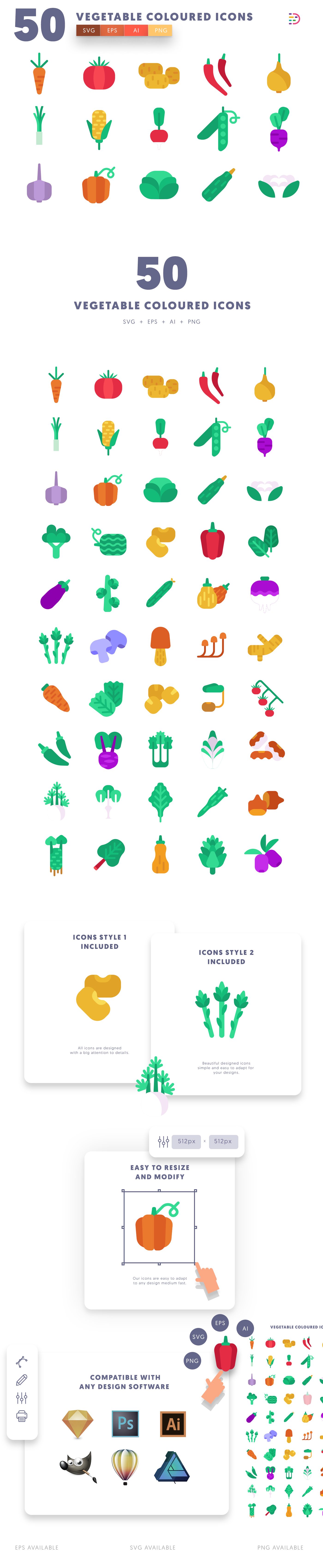 Vegetable Coloured icons info graphic