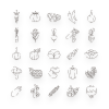 Vegetable Lines Icons
