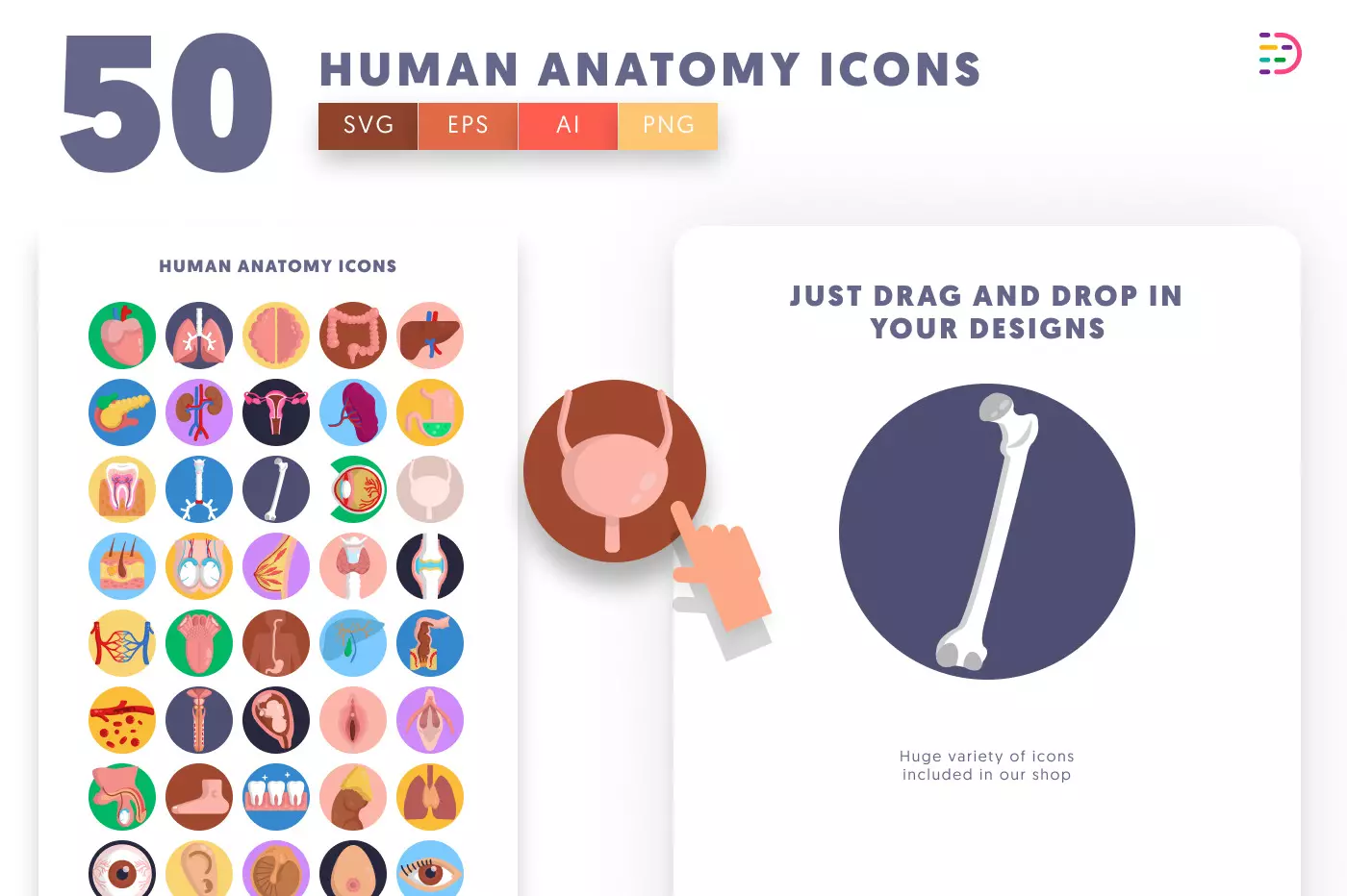 50 Human Anatomy Icons preview 1 – flat circle icons in PNG, SVG and EPS