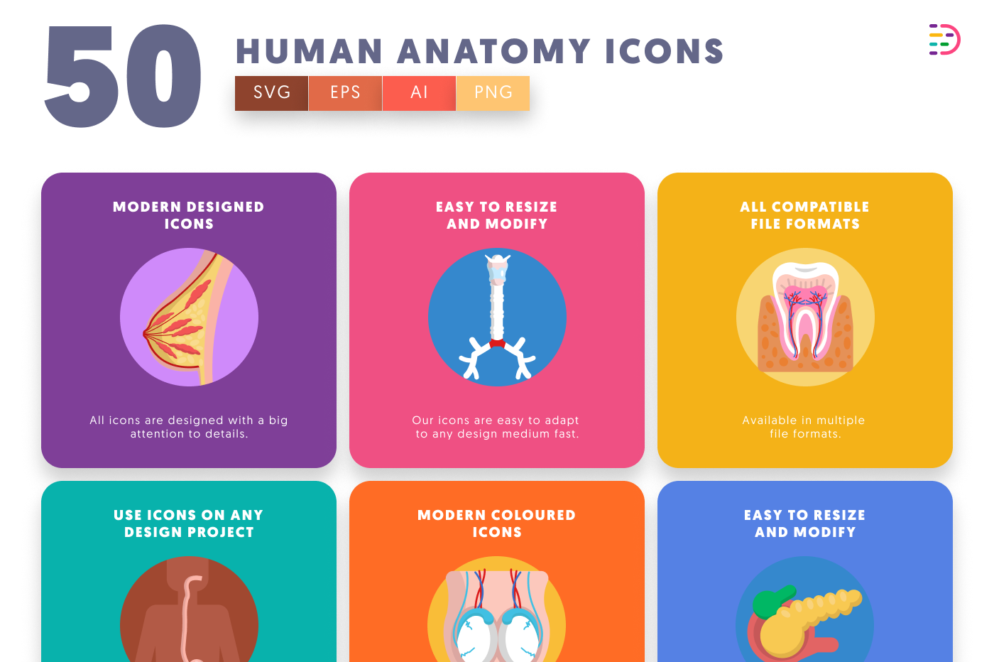 50 Human Anatomy Icons preview 5 – flat circle icons in PNG, SVG and EPS