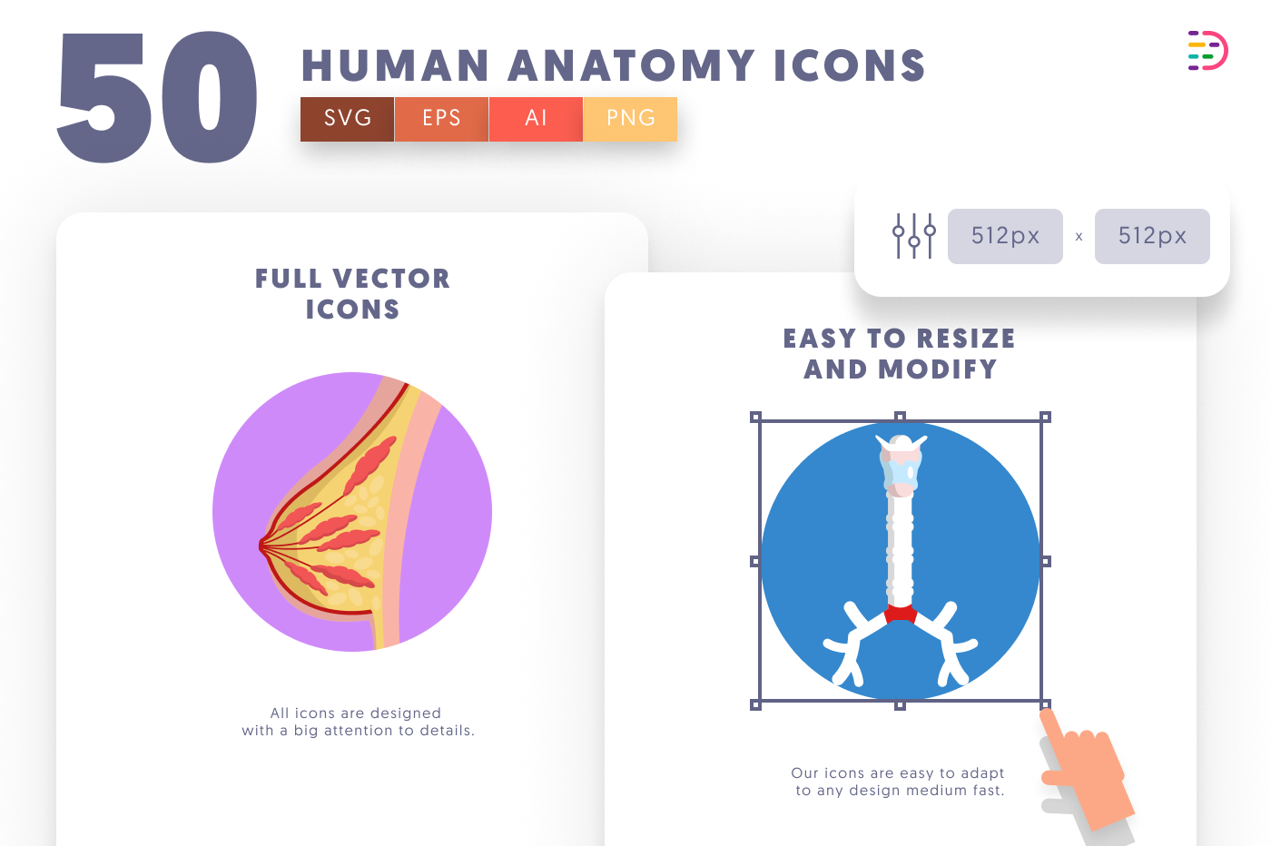 50 Human Anatomy Icons preview 6 – flat circle icons in PNG, SVG and EPS