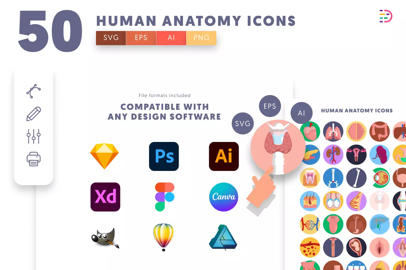 50 Human Anatomy Icons preview 8 – flat circle icons in PNG, SVG and EPS