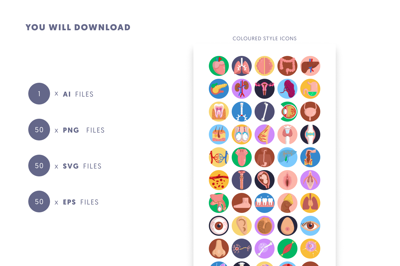50 Human Anatomy Icons preview 9 – flat circle icons in PNG, SVG and EPS