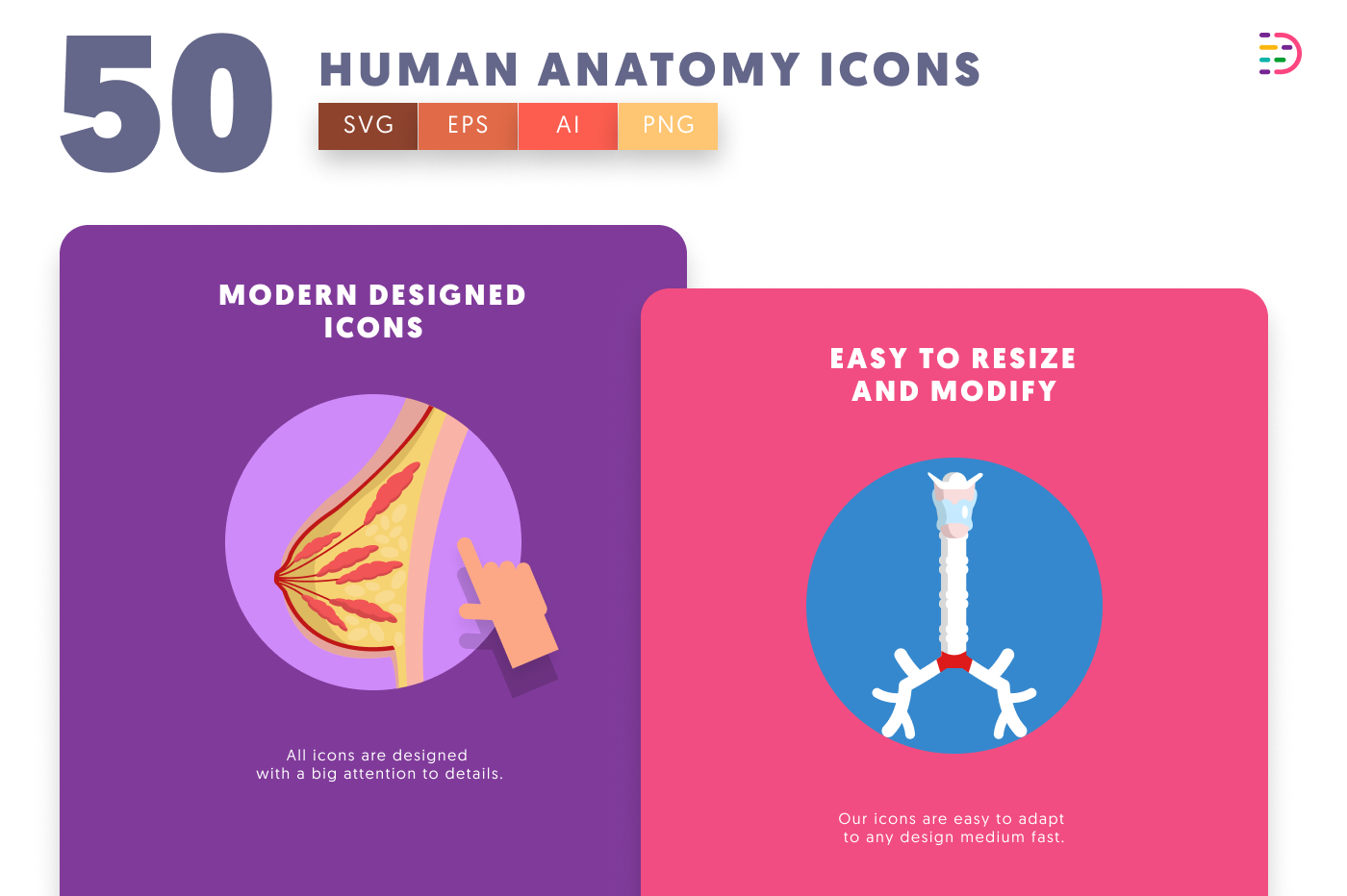 50 Human Anatomy Icons cover – flat circle icons in PNG, SVG and EPS