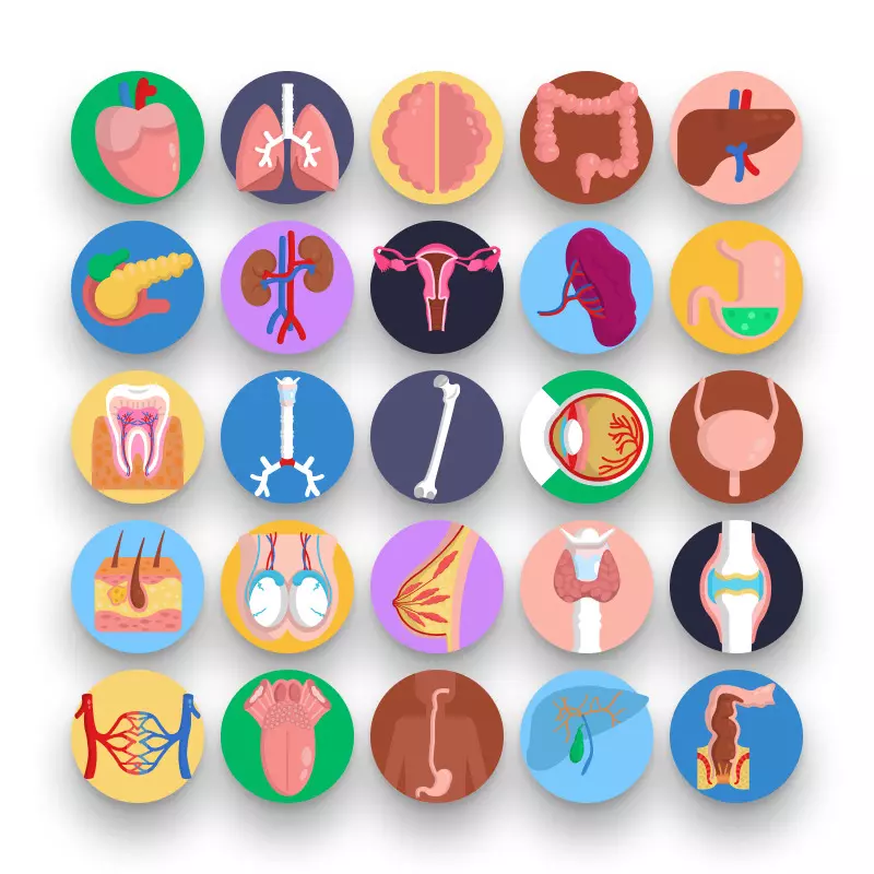 50 Human Anatomy Icons – set of colorful flat circle icons