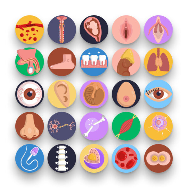 50 Human Anatomy Icons - Dighital Icons | Premium Icon Sets For All ...
