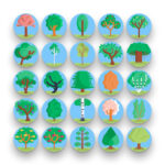 50 Trees Icons – set of colorful illustrated icons