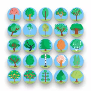 50 Trees Icons – set of colorful illustrated icons
