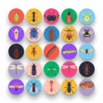 50 Insects and Bugs Icons – set of colorful flat circle icons
