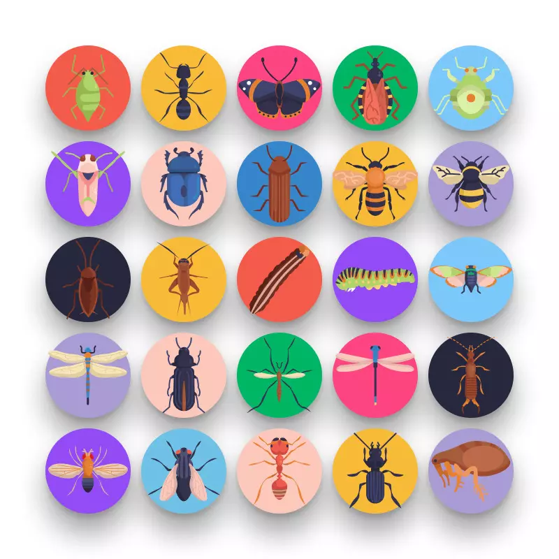 50-Insects and Bugs _ Shop-2 50 Insects and Bugs Icons – set of colorful flat circle icons