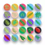 50 Tropical Leaves Icons – set of colorful flat circle icons