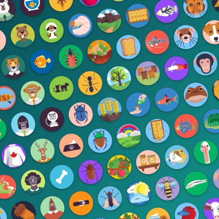 Animals icon sets