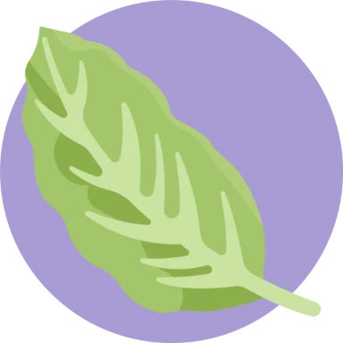 Tropical Leaves icon 4 of 10