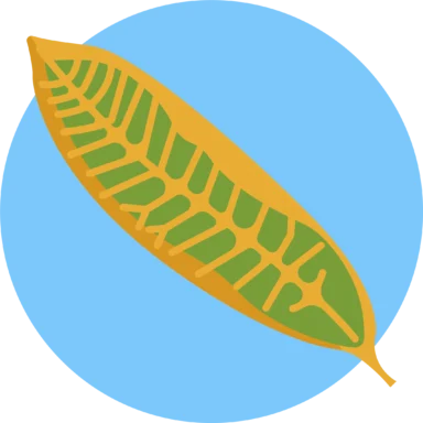 Tropical Leaves icon 7 of 10