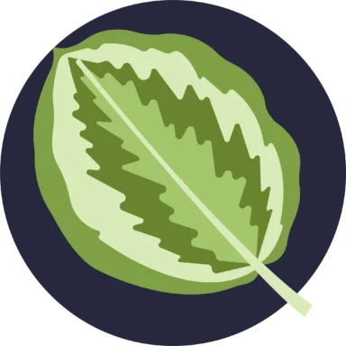 Tropical Leaves icon 8 of 10