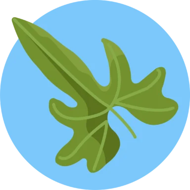 Tropical Leaves icon 9 of 10