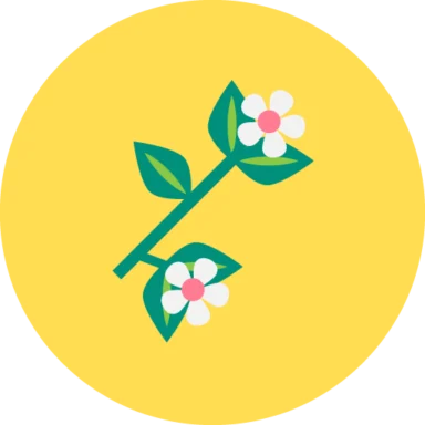 Flat Spring icon 9 of 10