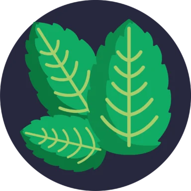 Herbs and Spices icon 3 of 10