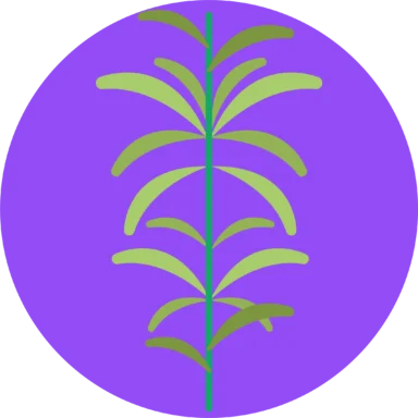 Herbs and Spices icon 5 of 10