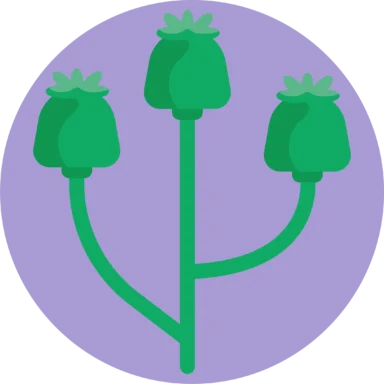 Herbs and Spices icon 6 of 10