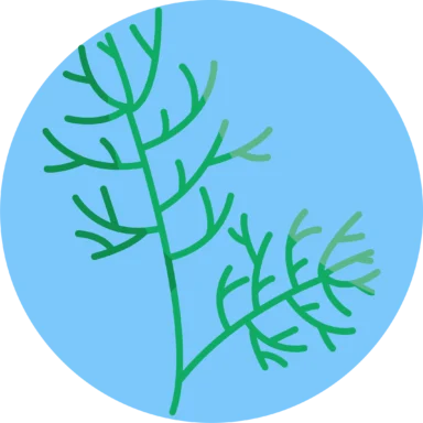 Herbs and Spices icon 9 of 10