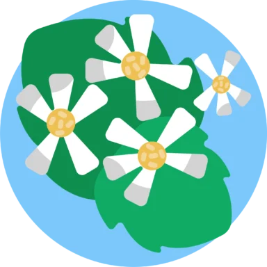 Flowers icon 9 of 10