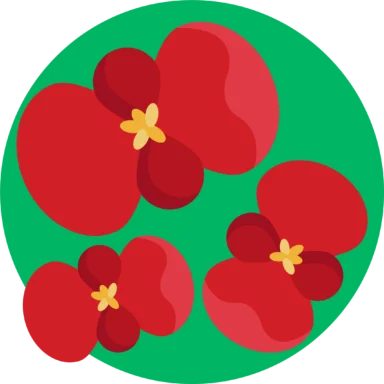Flowers icon 10 of 10