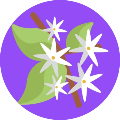 Flowers icon 2 of 10