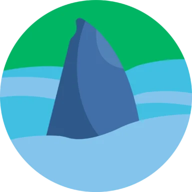 Pirate icon 10 of 10