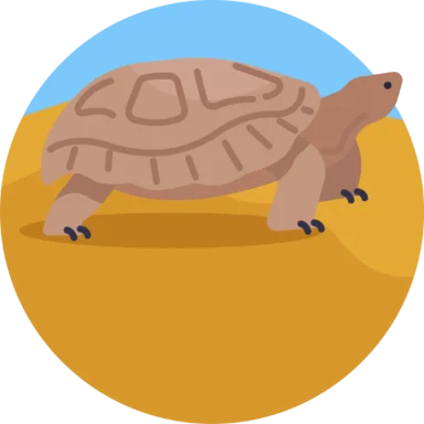 Desert icon 9 of 10