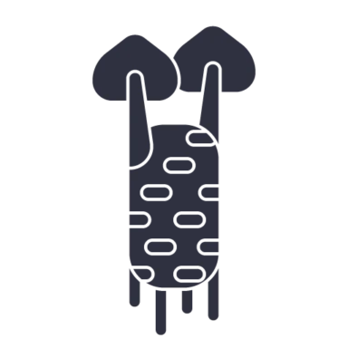 Vegetable Black icon 10 of 10