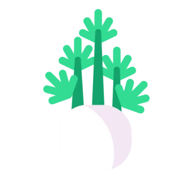 Vegetable Coloured icon 9 of 10