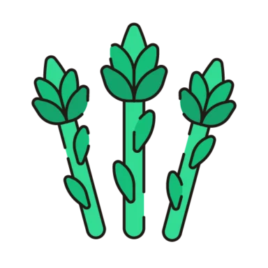 Vegetable Coloured & Line icon 6 of 10