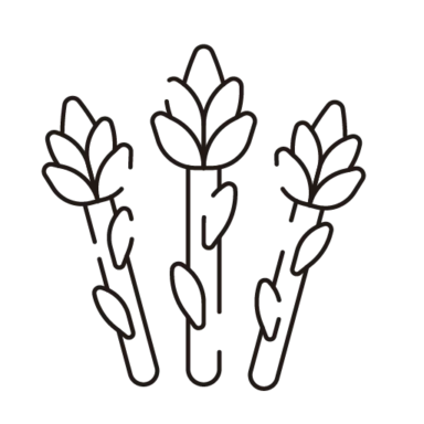 Vegetable Lines icon 6 of 10