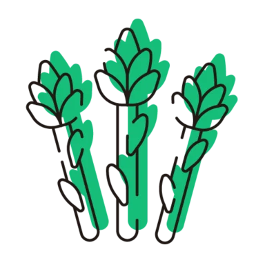 Vegetable Style icon 6 of 10