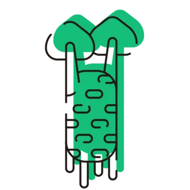 Vegetable Style icon 10 of 10