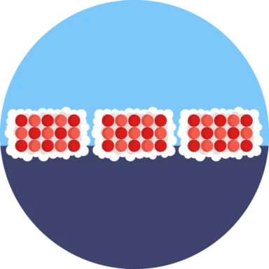 Sushi icon 7 of 10