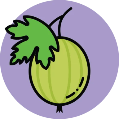 Fruit icon 6 of 10