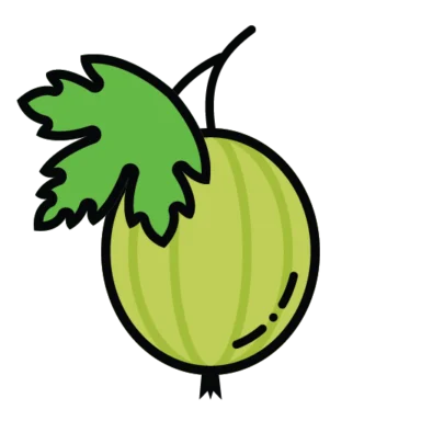 Fruit Outline icon 6 of 10