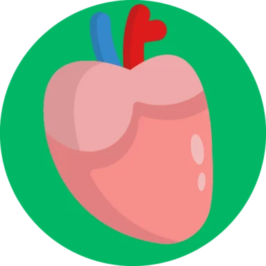 Human Anatomy icon 1 of 10