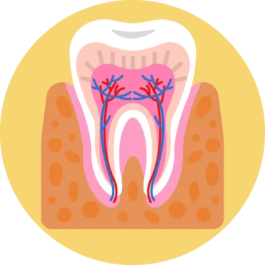 Human Anatomy icon 3 of 10