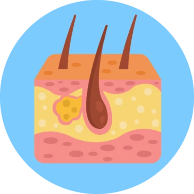 Human Anatomy icon 4 of 10