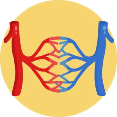 Human Anatomy icon 5 of 10
