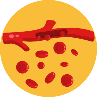 Human Anatomy icon 6 of 10