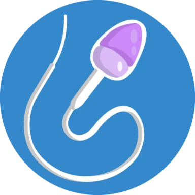 Human Anatomy icon 10 of 10