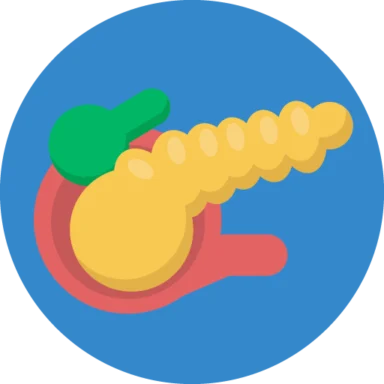Human Anatomy icon 2 of 10
