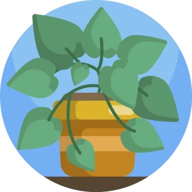 House Plant icon 1 of 10