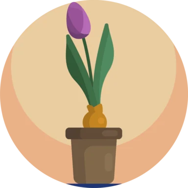 House Plant icon 6 of 10