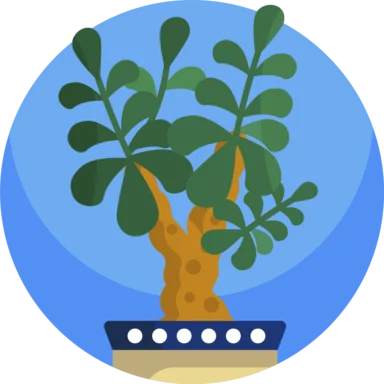 House Plant icon 7 of 10